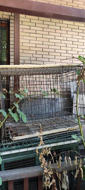 Продам большую клетку для собак бу