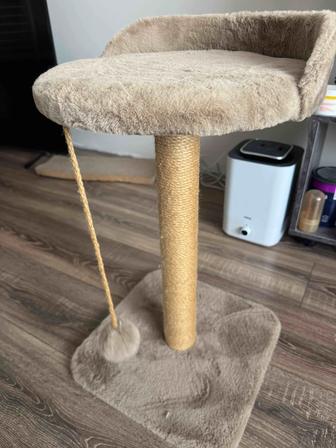 Когтеточка