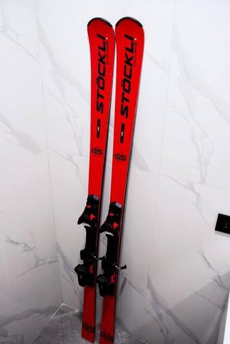 Горные лыжи