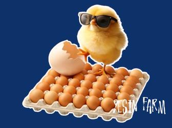 Ломан браун инкубационные яйца несушки фермерский выбор