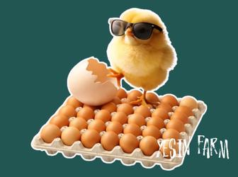 Ломан браун инкубационные яйца несушки крепкое потомство