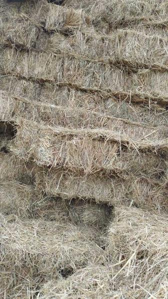 Продам сено оптом/розница