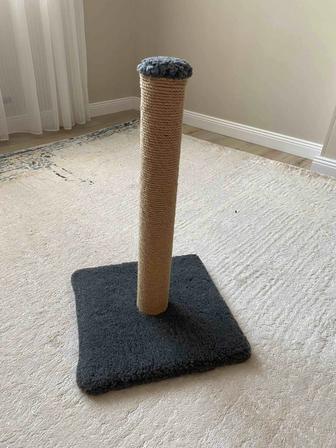 Когтеточка