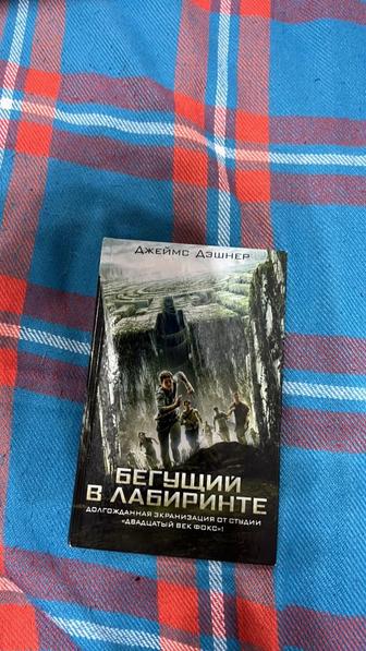 Книга «Бегущий в лабиринте»