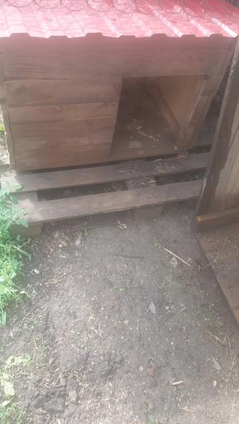 Продам новую будку