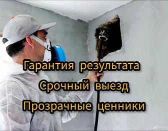 Чистка вентиляции и жировых вытяжек под ключ