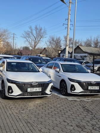 Аренда авто