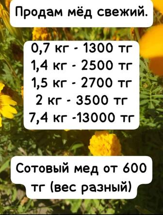 Продам мед вкусный