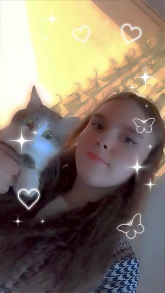 Выгул собак