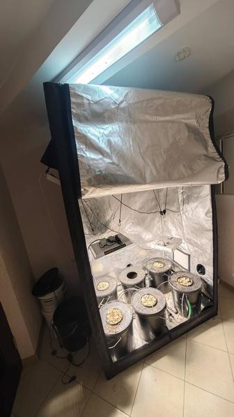 Продам ГроуБох в комплекте для выращивания гидропоники. БУ.