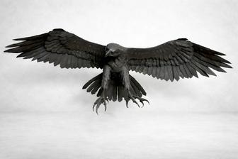 Скульптура из металла - Сокол. МАФ