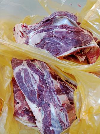 Продам говядину