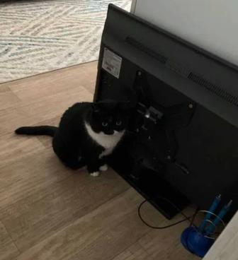 Продам телевизор Samsung с кронштейном и антенной