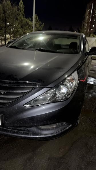 Сдам в аренду