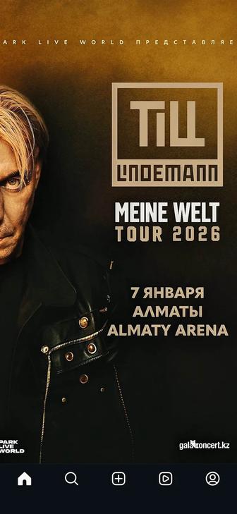 Билет на концерт солиста Rammstein