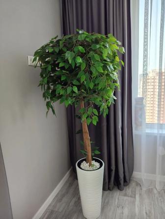 Фикусы искусственные