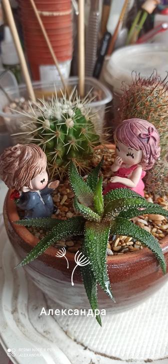 Изготовление композиции из живых комнатных растений, на заказ!!!