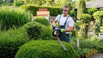 Садовник, обслуживание двора