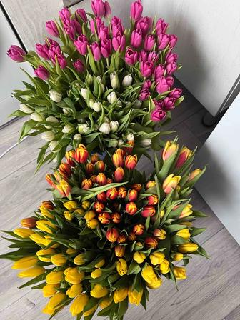 Тюльпаны к 8 марта