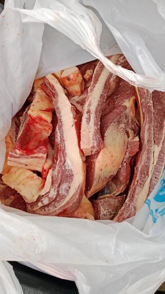 Мясо говядина и конины