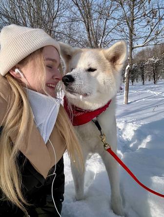 Передержка собак и грызунов