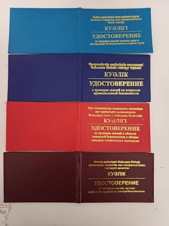 Обучение по ПТМ, БиОТ, пром. безопасность, электробезопасность, работа на в