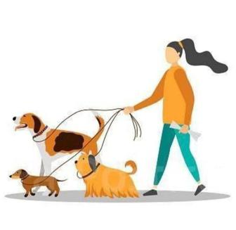 Выгул собак в Ауэзовский/Турксибском