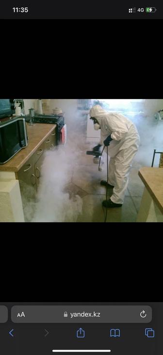 Дезинфекция Дезинсекция Дератизация