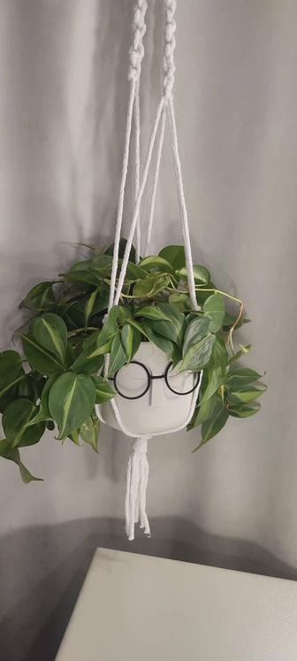 Подвесное кашпо для цветов