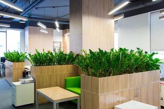 Озеленение офисов