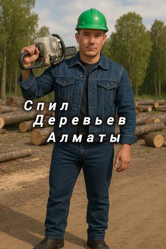 Спил деревьев любой сложности