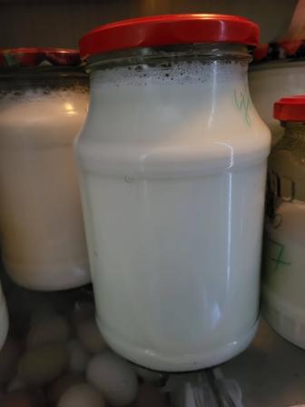 Продам козье молоко