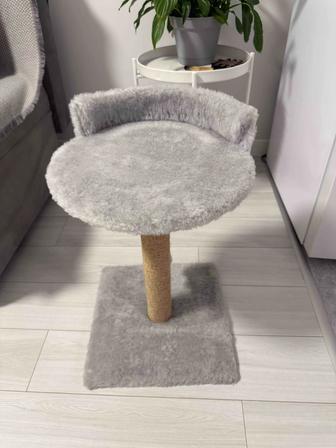 Когтеточка