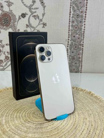 Iphone 12 pro max (256 gb)