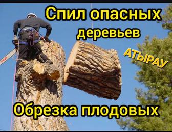 Спилю дерево любого размера