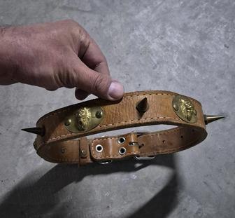 Продается ошейник для крупных бойцовых собак!