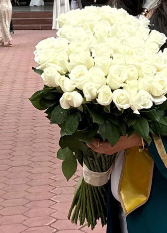 Белые розы цветы букет