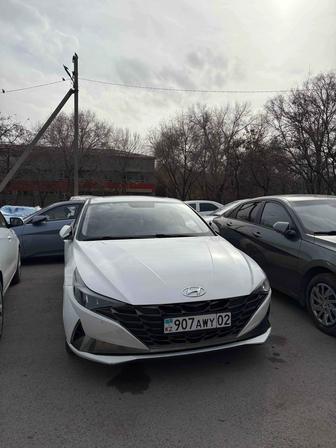 hyundai elantra аренда