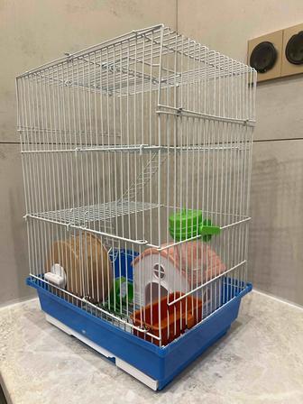 Клетка для грызунов