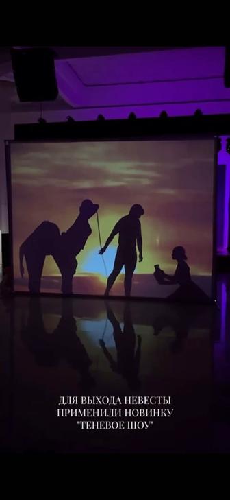 Теневое шоу / театр теней SHADOW SHOW