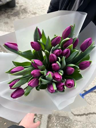 Продажа тюльпанов, оптом и в розницу