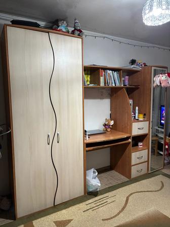 Мебель стол-шкаф