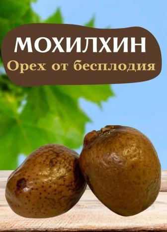 Мохилхин/Орех/бесплодие/женщинам/мужчинам/простатит/болезни