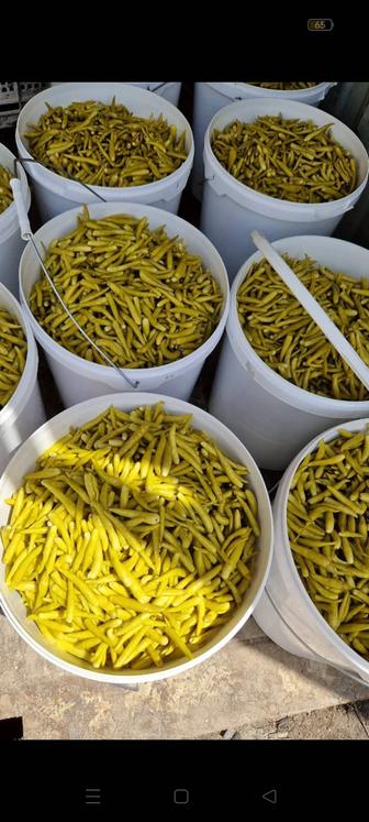 Турецкий перчик острый оптом