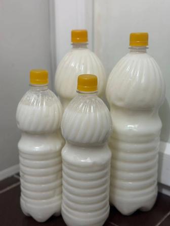 Кымыз, Қымыз, кумыс