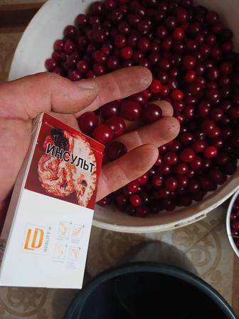 Продам вишню цена договорная