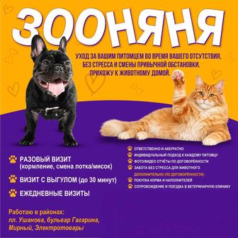 Зооняня, уход за домашними животными