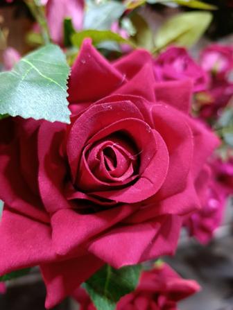 Редми нот 14 про жаксы жагдайы Бир жарим ай болди алгагима