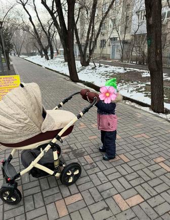 Коляска ADAMEX 2 в 1