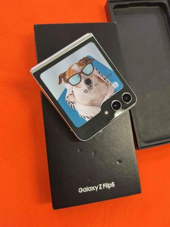 Samsung Z Flip 5